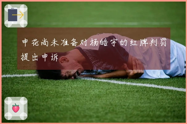 申花尚未准备对杨皓宇的红牌判罚提出申诉