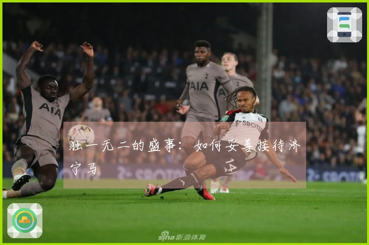 独一无二的盛事：如何妥善接待济宁马