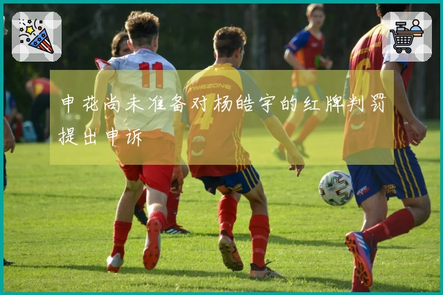 申花尚未准备对杨皓宇的红牌判罚提出申诉