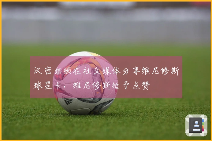 汉密尔顿在社交媒体分享维尼修斯球星卡，维尼修斯给予点赞