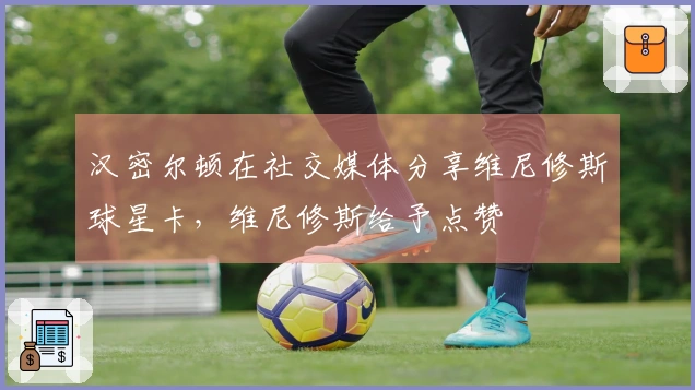 汉密尔顿在社交媒体分享维尼修斯球星卡，维尼修斯给予点赞